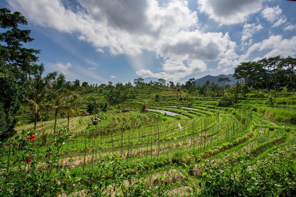 Subak Tabola Villa Sidemen  Ngoại thất bức ảnh